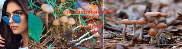 соль ск Баксан