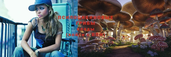 соль ск Баксан
