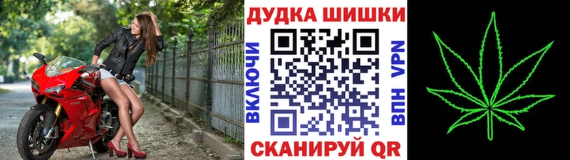 MEGA ТОР  купить наркотик  Ветлуга  Конопля индика 